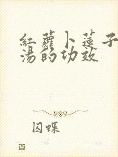 红萝卜莲子排骨汤的功效