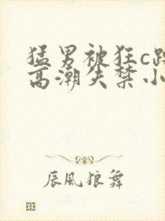 猛男被狂c躁到高潮失禁小说