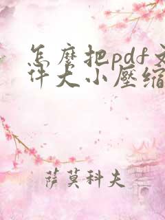 怎么把pdf文件大小压缩小一点