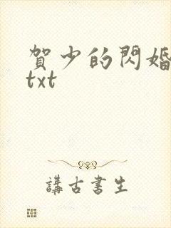 贺少的闪婚暖妻txt