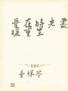 爱在时光尽头温暖重生