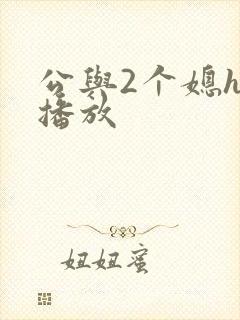 公与2个媳hd播放