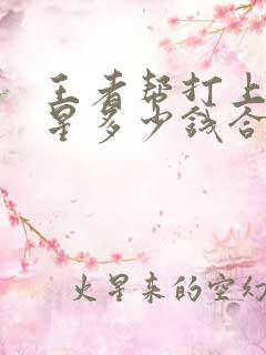 王者帮打上一颗星多少钱合适