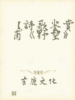 【诗歌鉴赏】杜甫《野望》原文及翻译