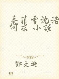 秦菲雪沈浩一生何求 小说
