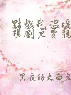 点燃我温暖你电视剧免费观看全集