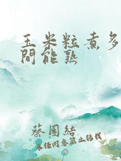 玉米粒煮多长时间能熟