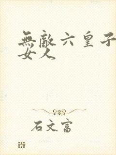 无敌六皇子几个女人