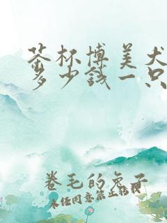 茶杯博美犬价格多少钱一只幼犬