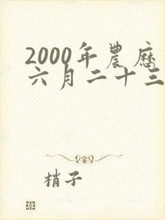 2000年农历六月二十三的生辰八字