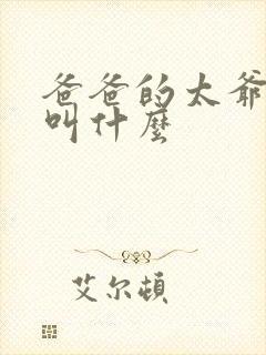 爸爸的太爷爷我叫什么