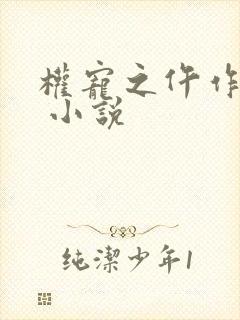 权宠之仵作医妃 小说