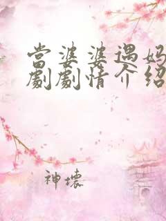 当婆婆遇妈电视剧剧情介绍