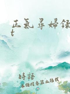 正气寻妇录txt