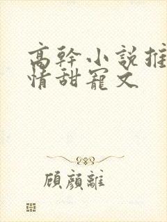 高干小说推荐言情甜宠文
