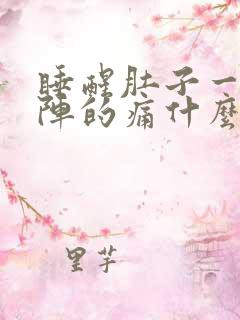 睡醒肚子一阵一阵的痛什么原因?