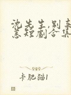 沈先生,别来无恙短剧合集