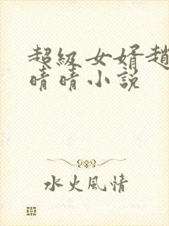 超级女婿赵旭李晴晴小说