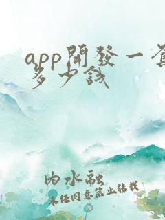 app开发一套多少钱