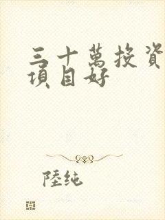 三十万投资什么项目好