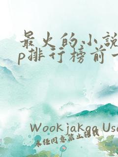 最火的小说app排行榜前十名