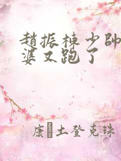 赵振栋少帅你老婆又跑了