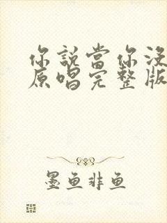 你说当你没来过原唱完整版