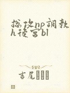 总攻np调教高h后宫bl