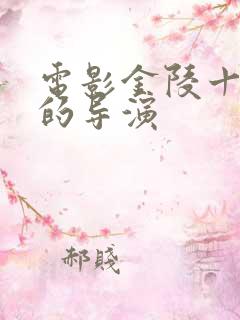 电影金陵十二钗的导演