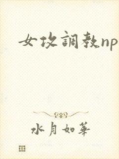 女攻调教np