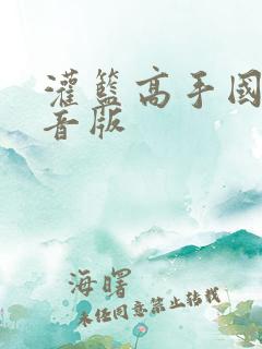 灌篮高手国语配音版