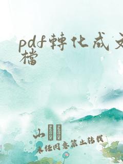 pdf转化成文档