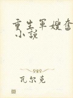 重生军嫂奋斗史 小说