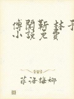 傅闻靳 林予禾小说免费