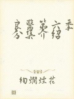 良医第六季剧情分集介绍