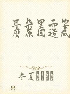 耳朵里面响是什么原因造成的