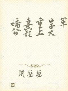 娇妻重生军长老公宠上天