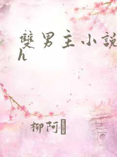 双男主小说推荐h