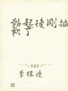 勃起后刚插入就软了