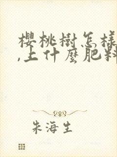 樱桃树怎样施肥,上什么肥料