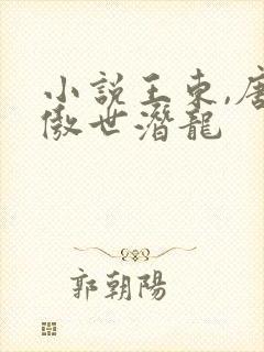 小说王东,唐潇傲世潜龙