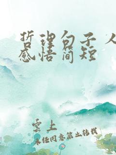 哲理句子 人生感悟简短