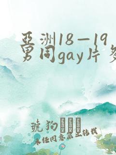 亚洲18—19男同gay片多人
