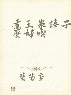 煮玉米棒子放什么好吃