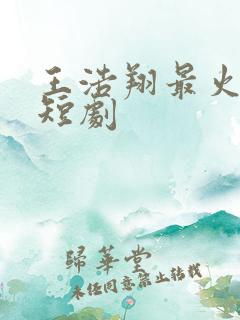 王浩翔最火十部短剧
