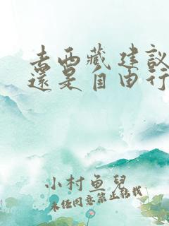 去西藏建议报团还是自由行