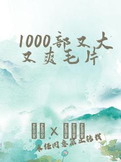 1000部又大又爽毛片