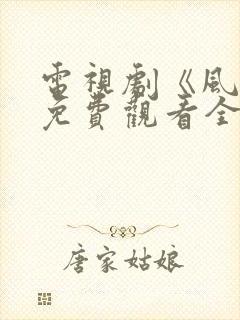 电视剧《风云》免费观看全集