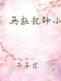 无敌龙帅小说