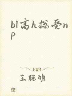 bl高h总受np